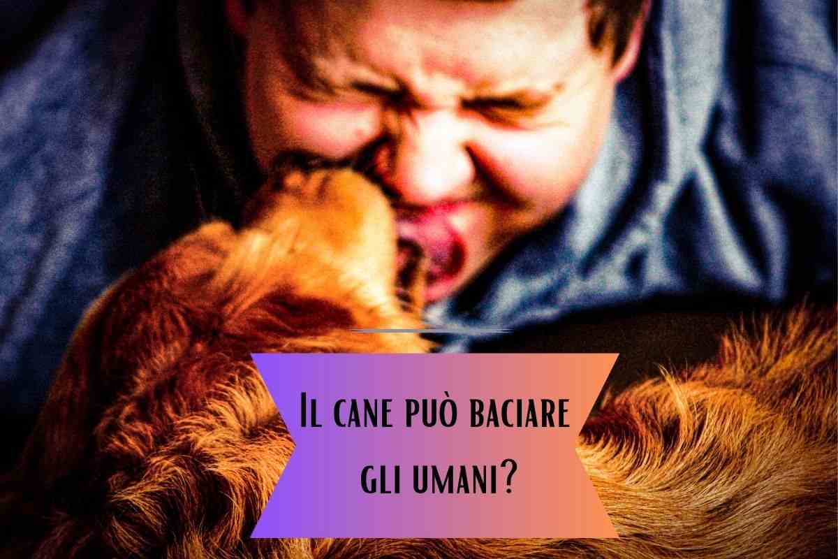 Fido può baciare gli umani