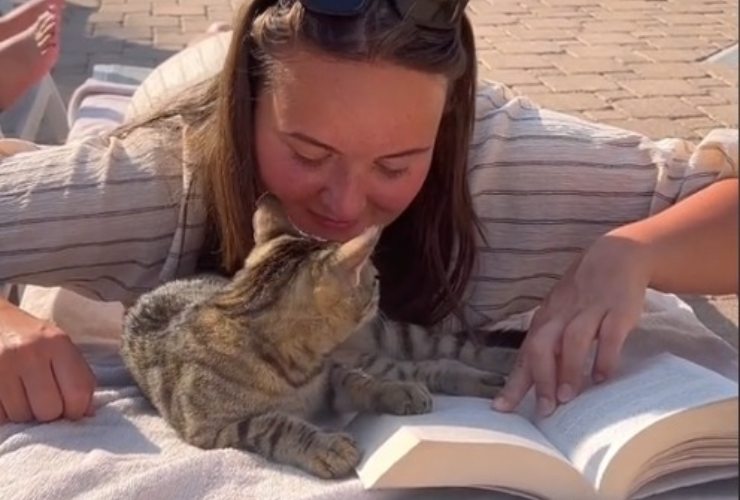 La gattina ha scelto la sua nuova amica umana