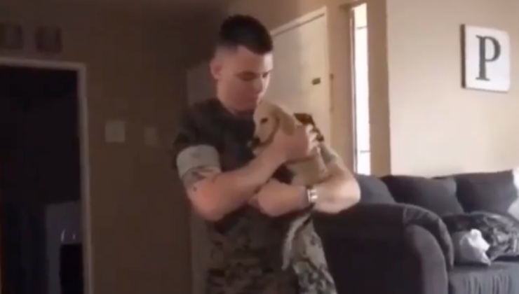 cagnolino benvenuto papà umano