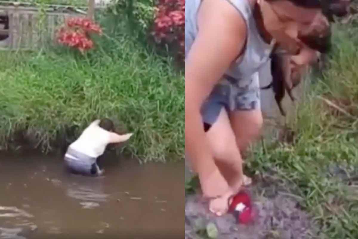 cuccioli annegando fiume donna