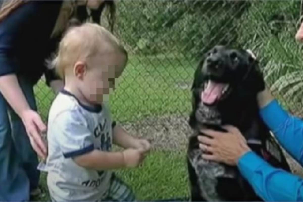 colpisce figlio davanti cane