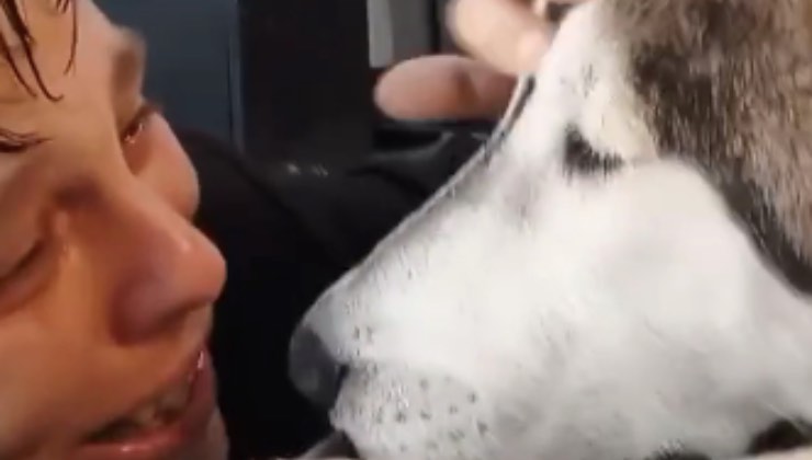 husky omaggio brano amore