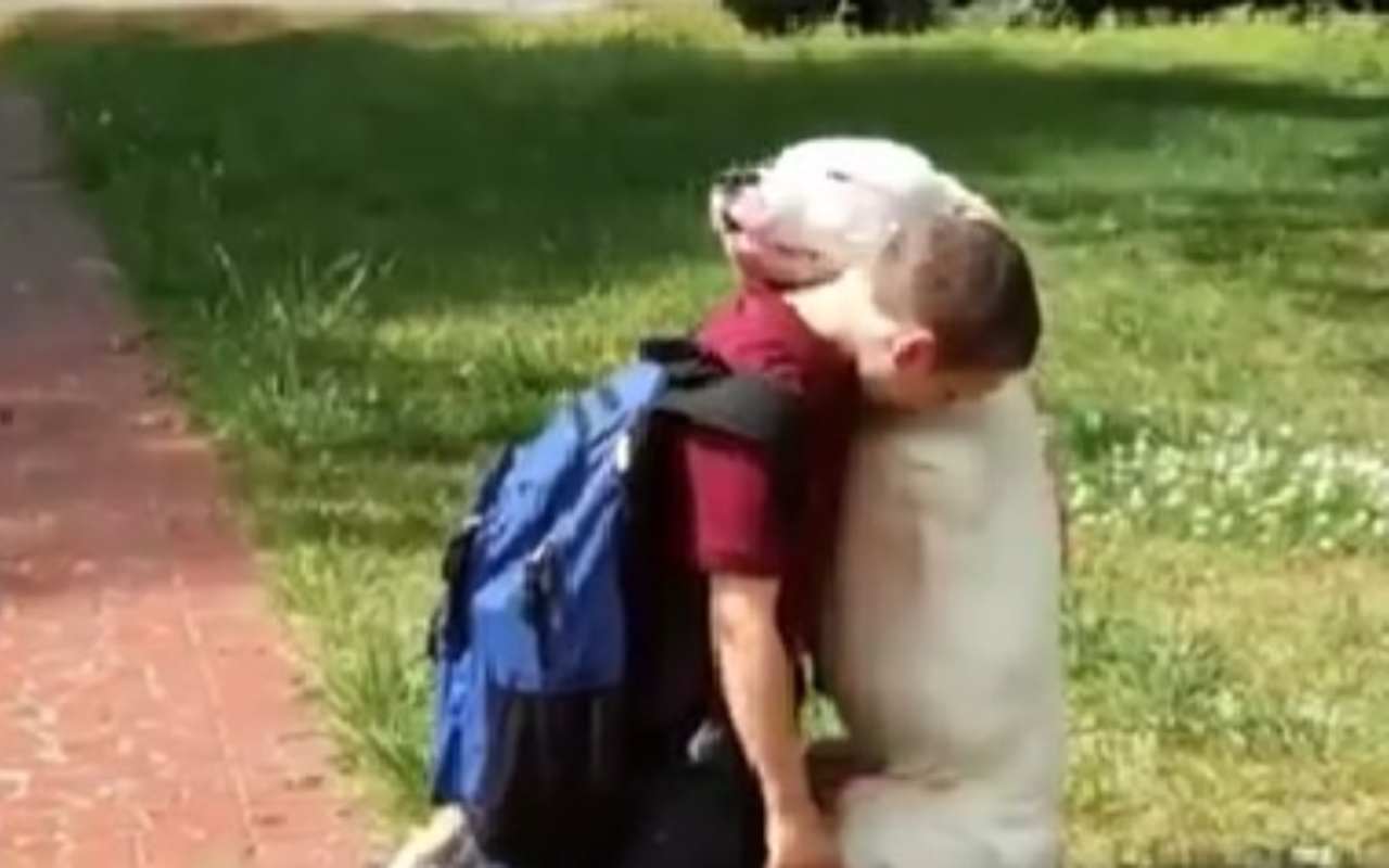 Abbraccio cane bambino