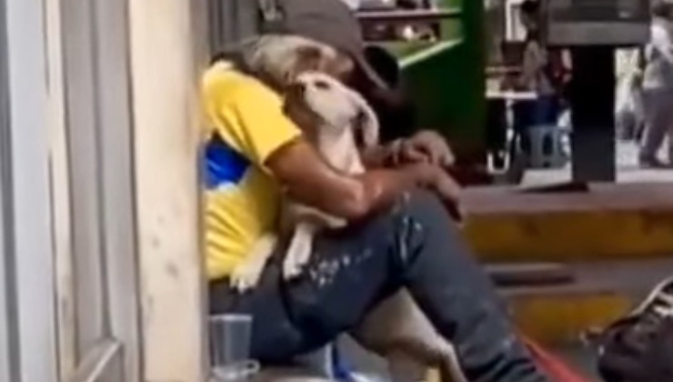 cane senzatetto video incredibile