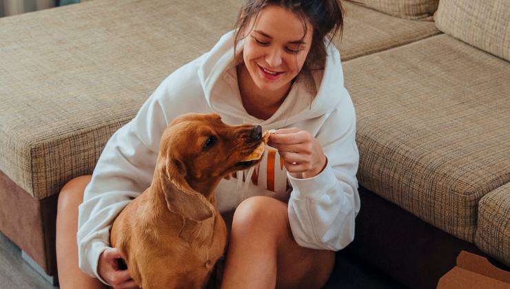 cane mangia la pizza 