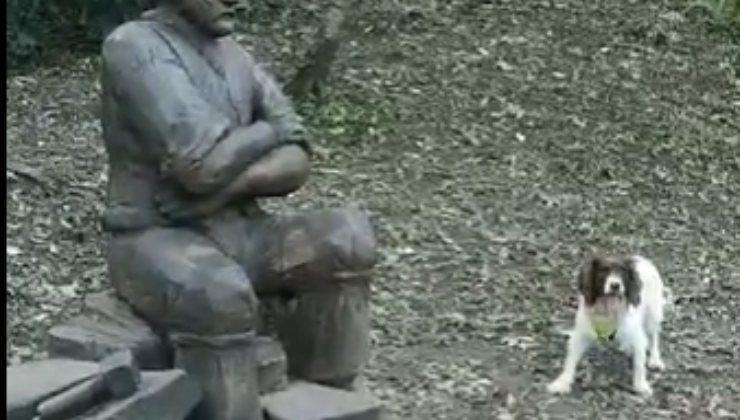 cane statua gioca bastone