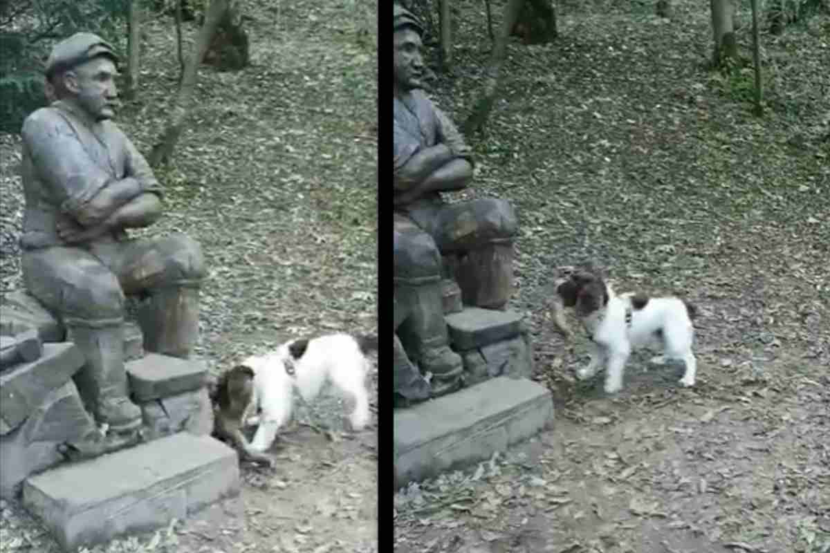 giocare delusione cane statua