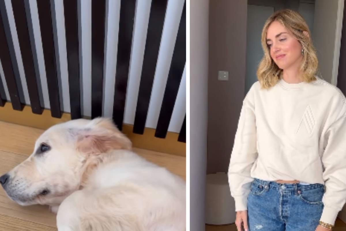 chiara ferragni scopre guaio paloma