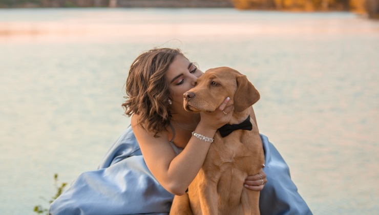 Il bacio del cane agli umani