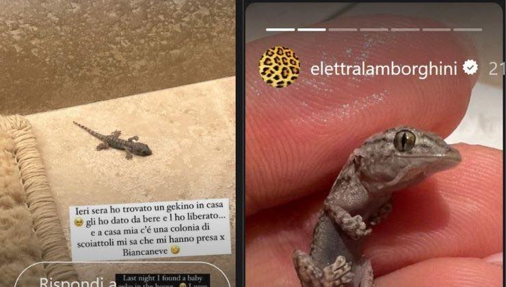 elettra lamborghini con il geko