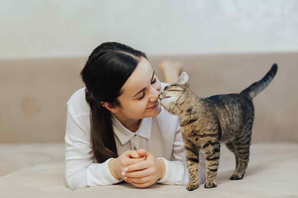 gatto strizza gli occhi