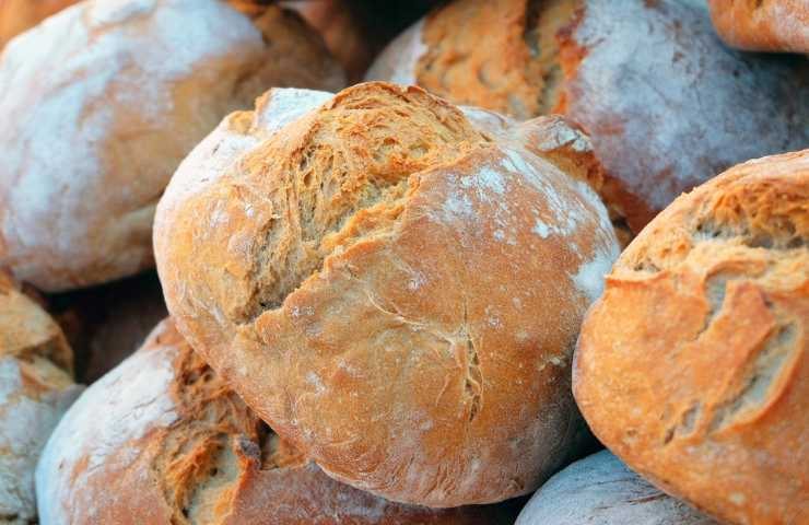 pane al cane