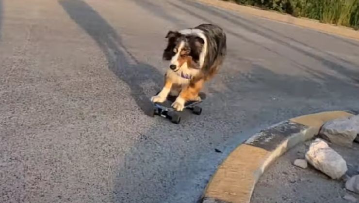 Rush sullo skate
