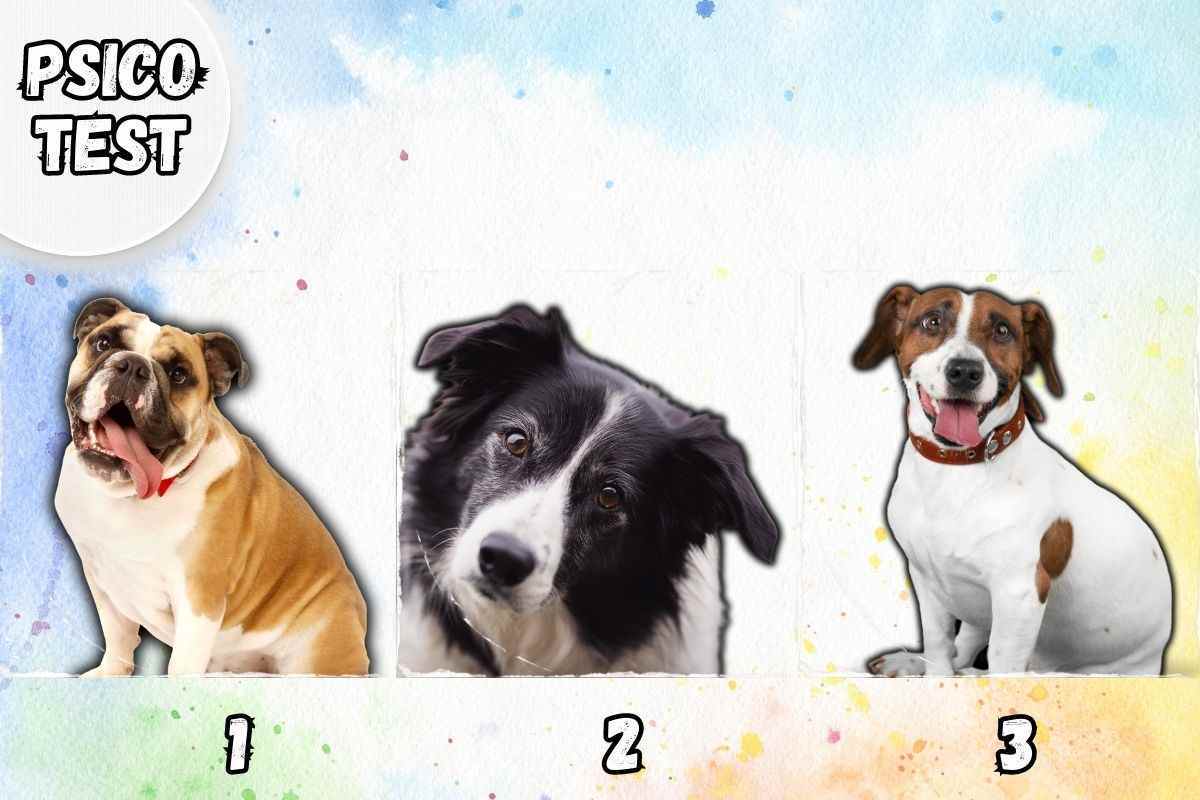 test della personalità razza cani