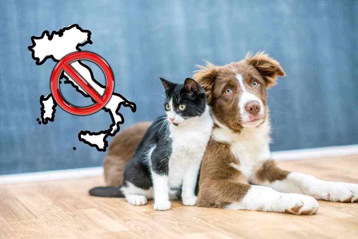 animali domestici vietati in Italia