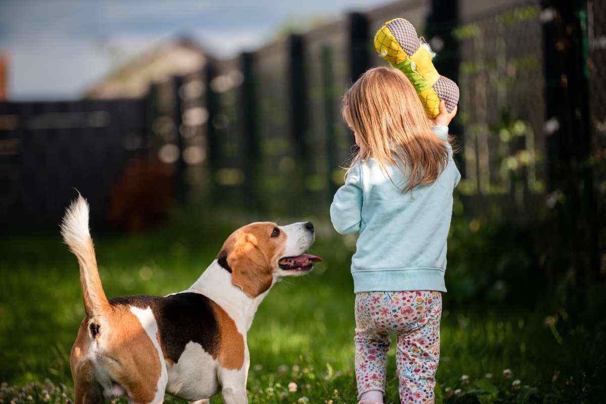 cani proteggono bambini
