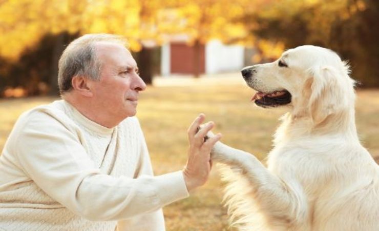 capacità dei cani di fiutare le malattie nel padrone