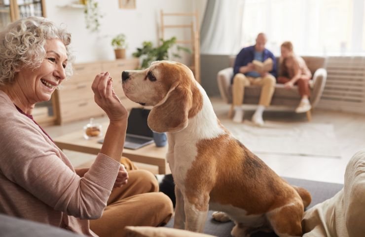 convivere con un cane