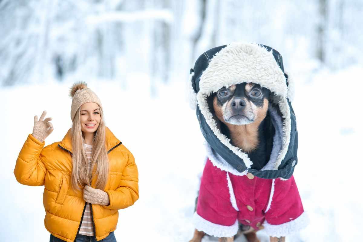 cani inverno freddo