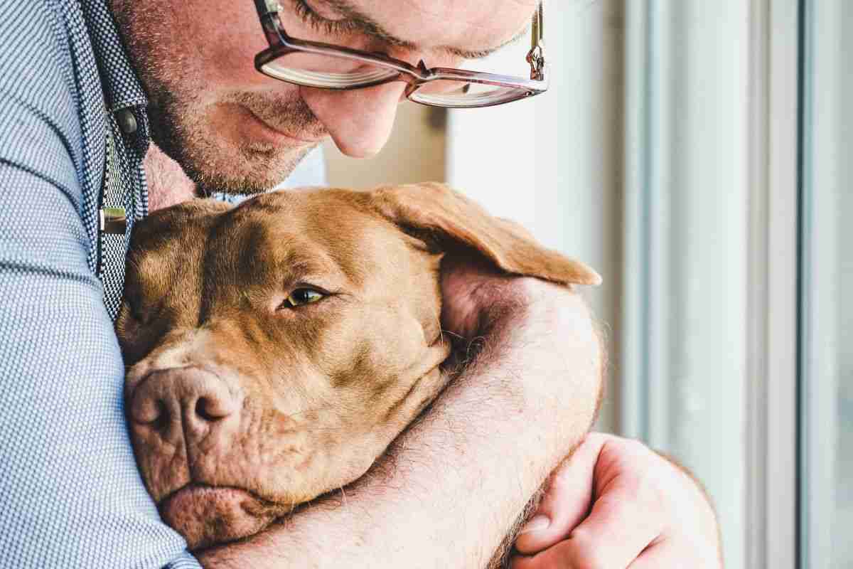 padrone che ritrova cane dopo 2 anni