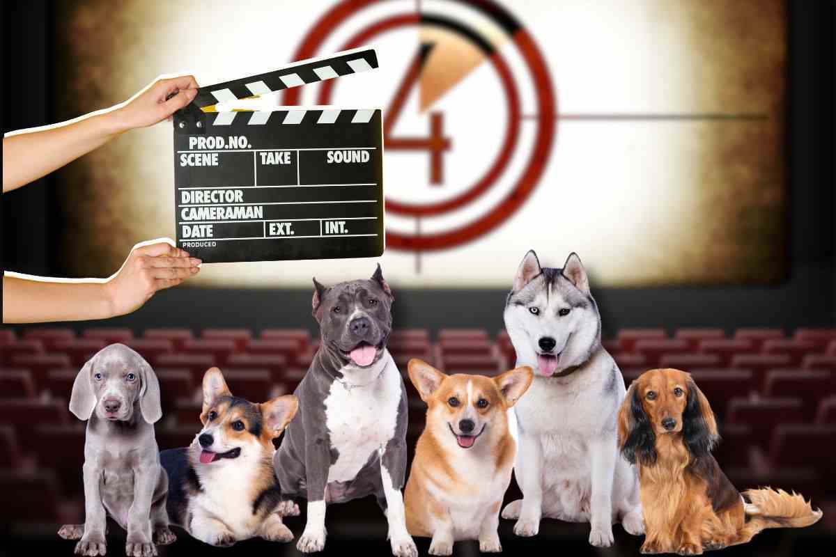 L'interpretazione di questi due cani fa invidia agli attori di Hollywood