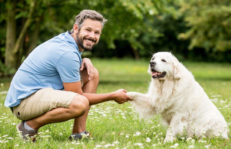 cane risponde al comando