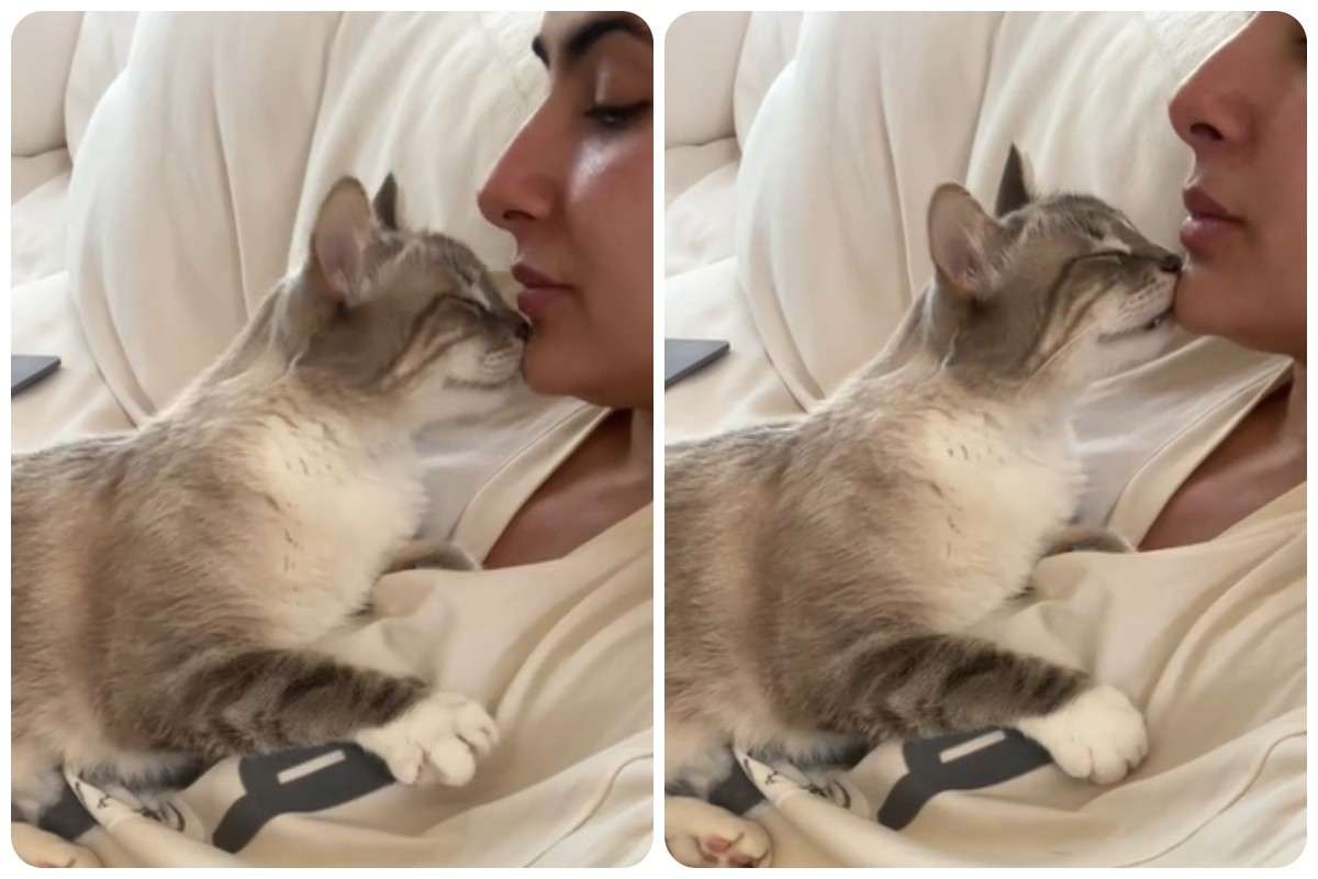 gatto e coccole con la padrona