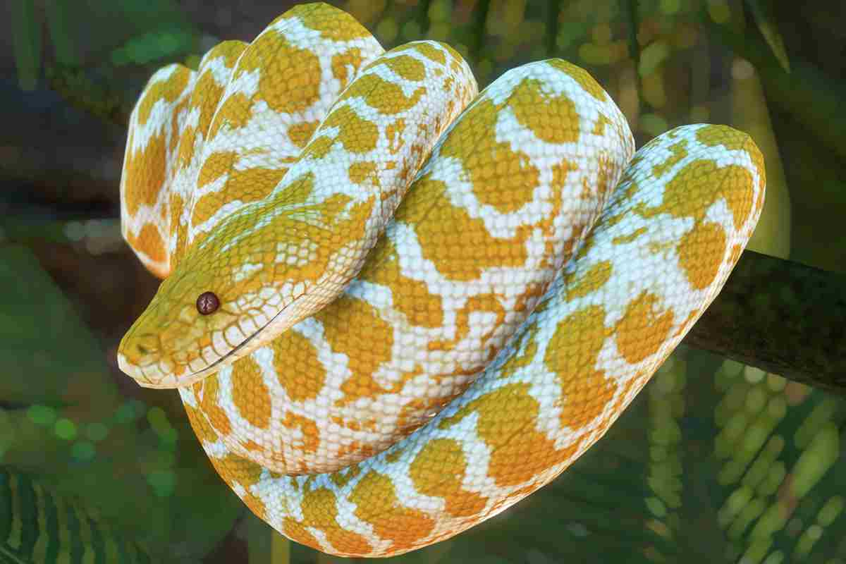 scegliere serpente da tenere in casa