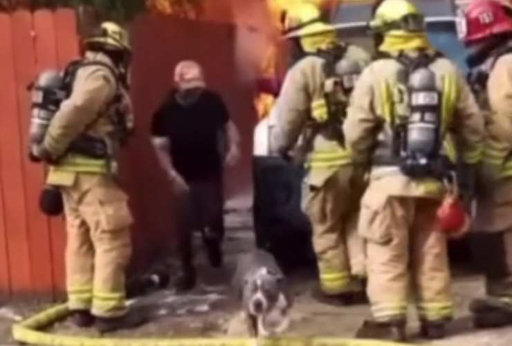 Incendio cane