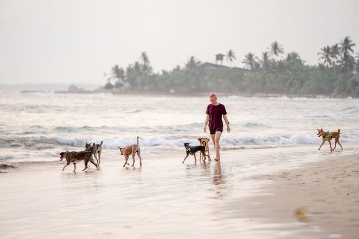 Vacanze cane 