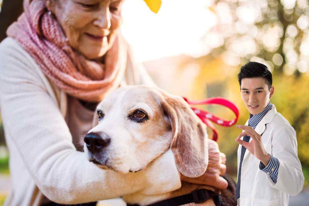 benefici dell'avere un cane