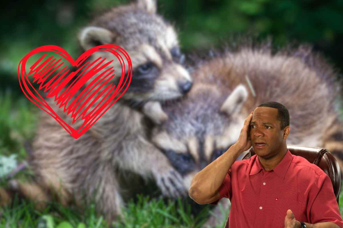 L'animale più romantico