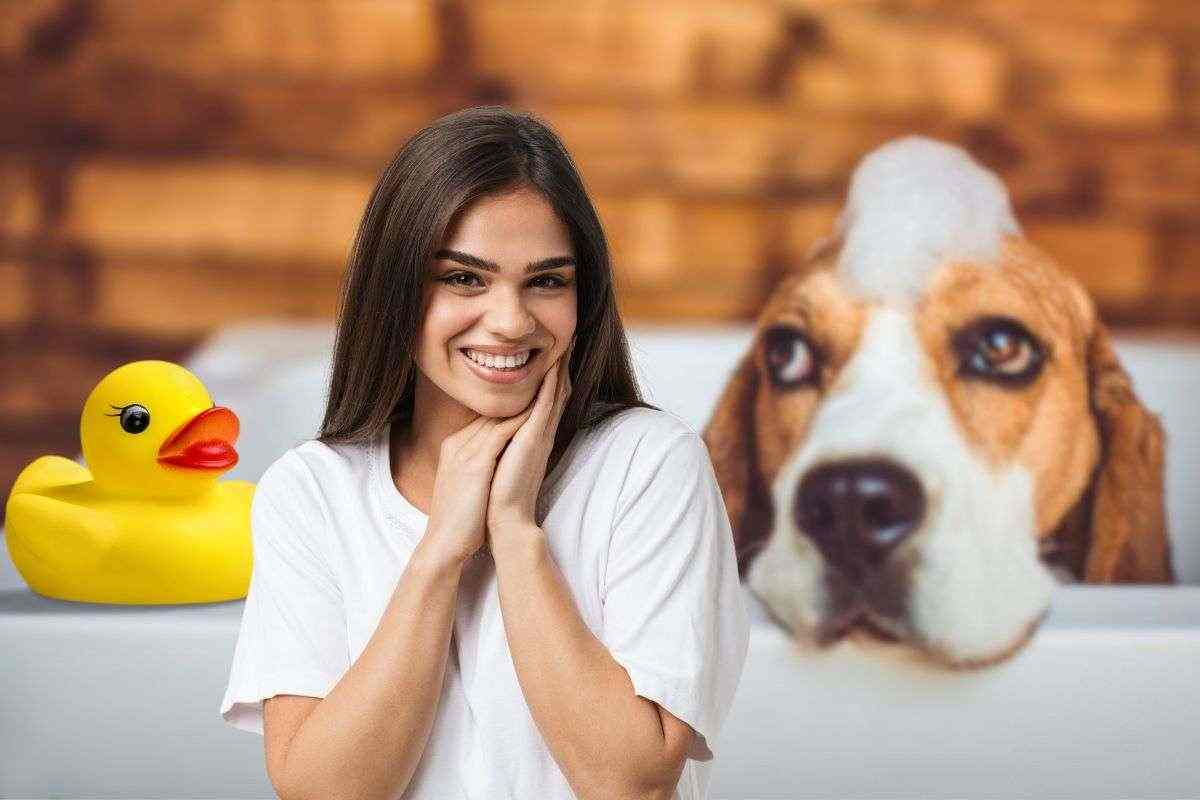 bagnetto Beagle