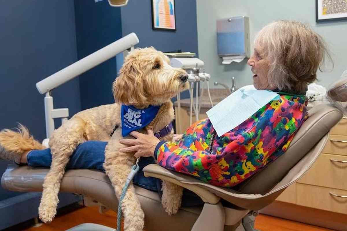 l'assistente dentista