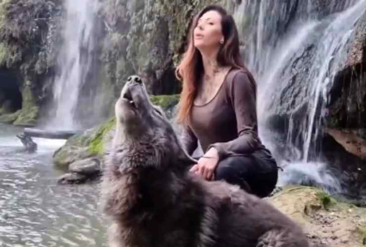 Donna incontra un lupo