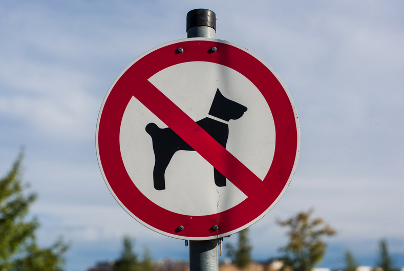 governo vieta razza di cane