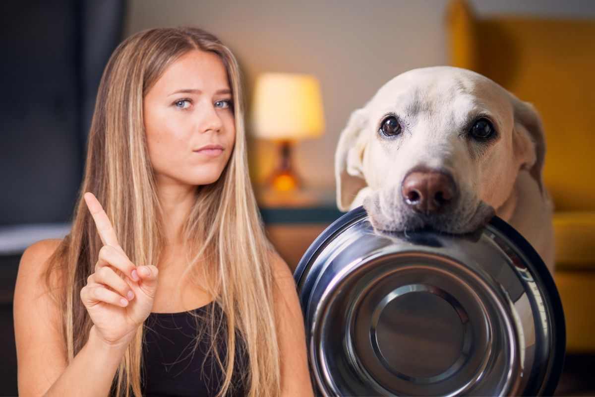 cane alimenti tossici