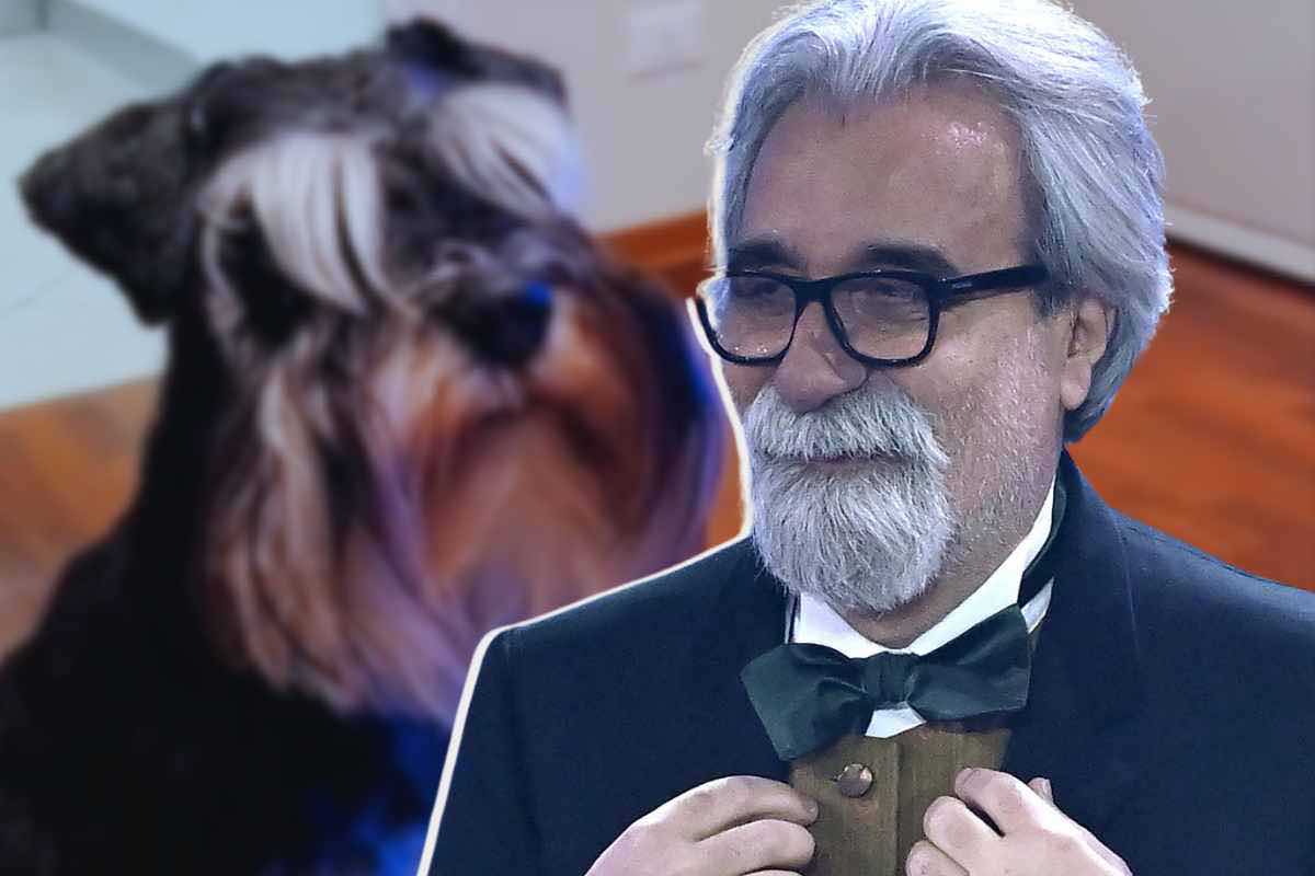 sosia Beppe Vessicchio