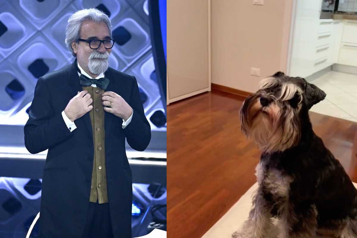 Vessicchio sosia video