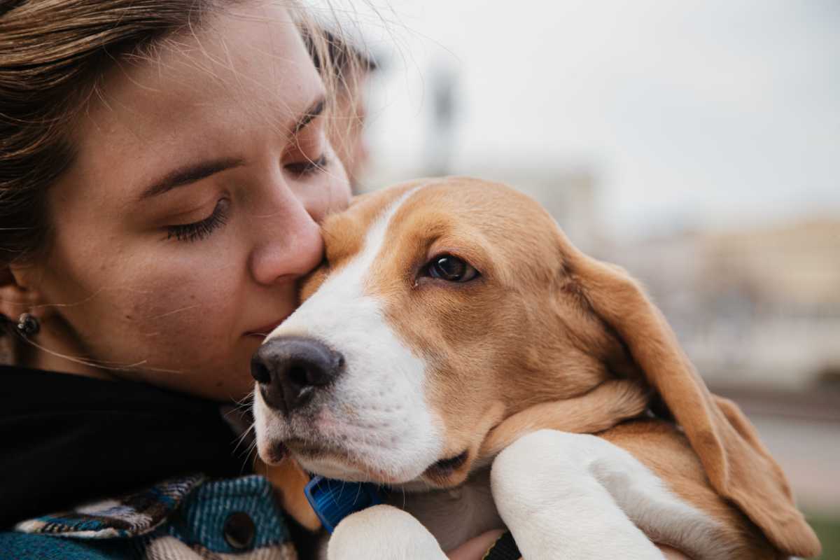 Come diventare un Pet Influencer