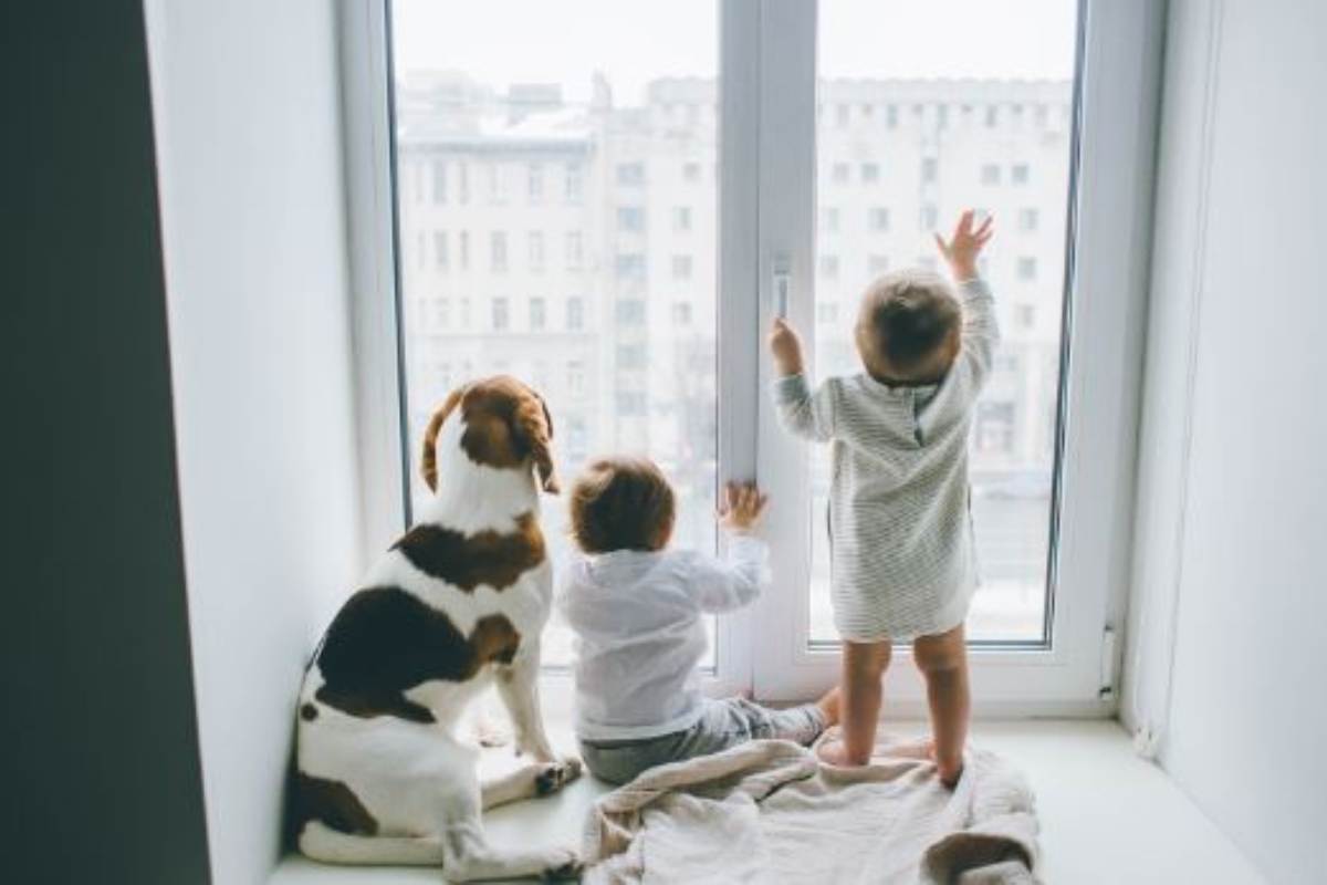 cani e bambini regole in casa