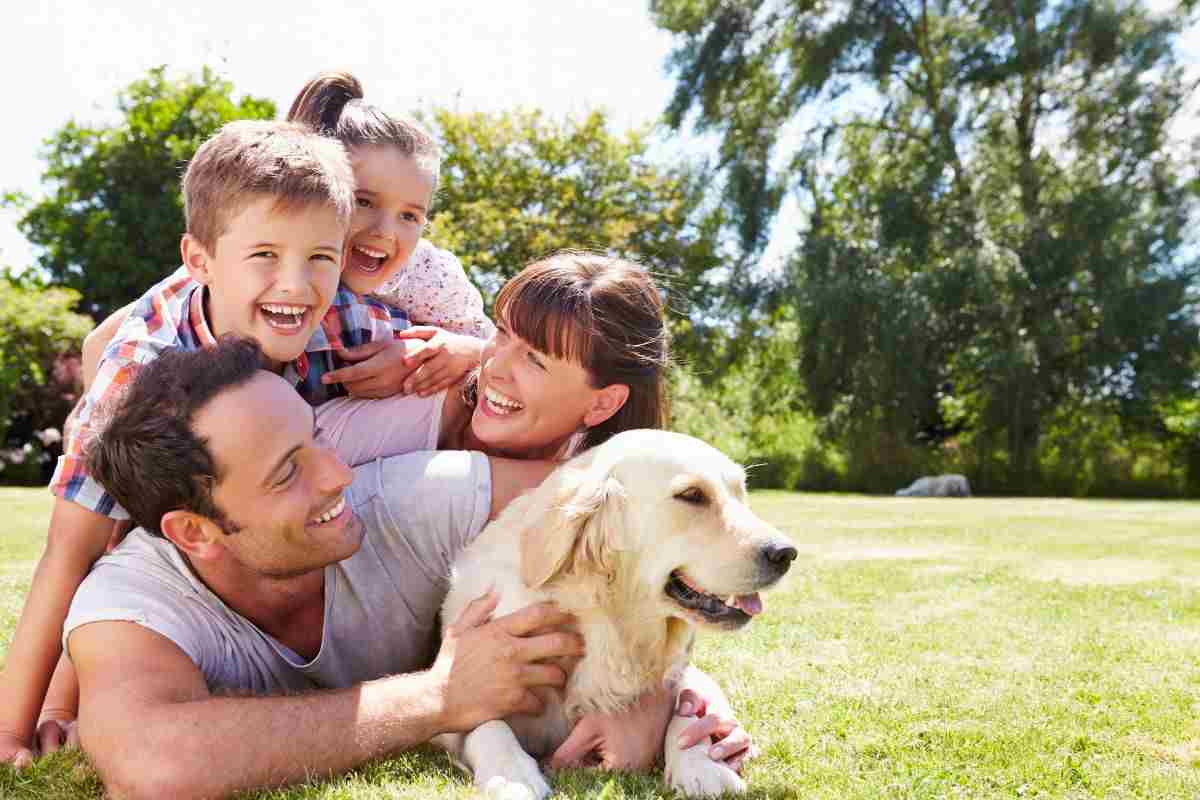 calcola l'età dei cani