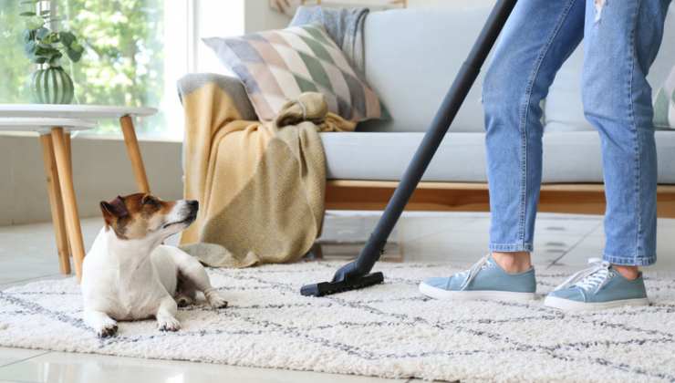 Prodotti pulizia casa non tossici per  animale