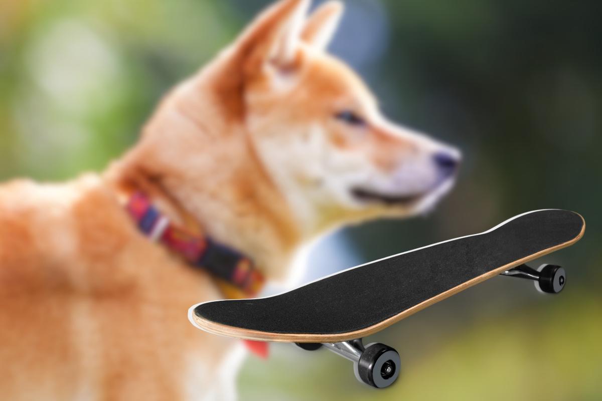 Cane skateboarder