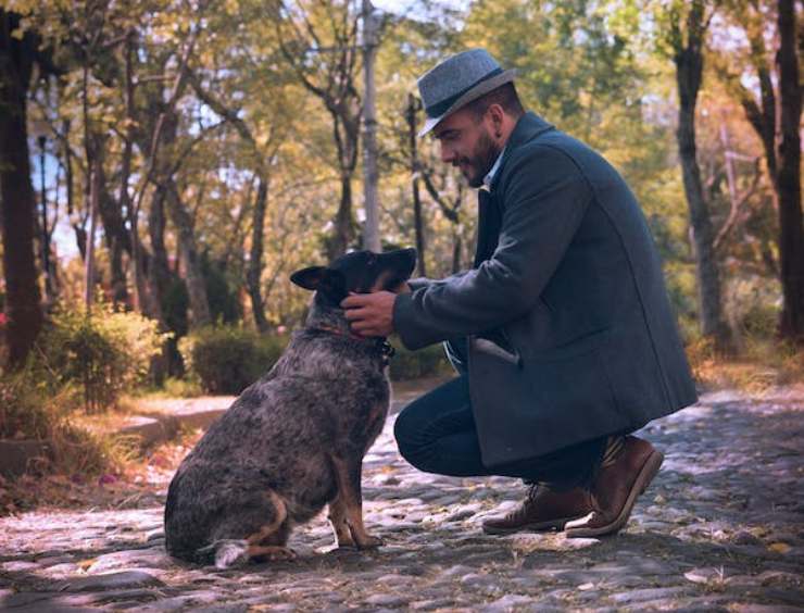 diabete cani legame padroni