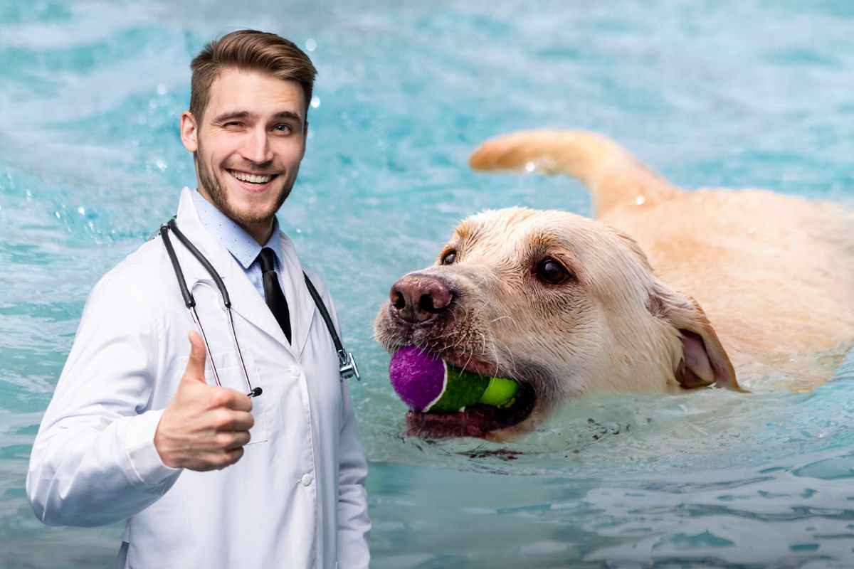 Acqua e cane: quali sono i benefici