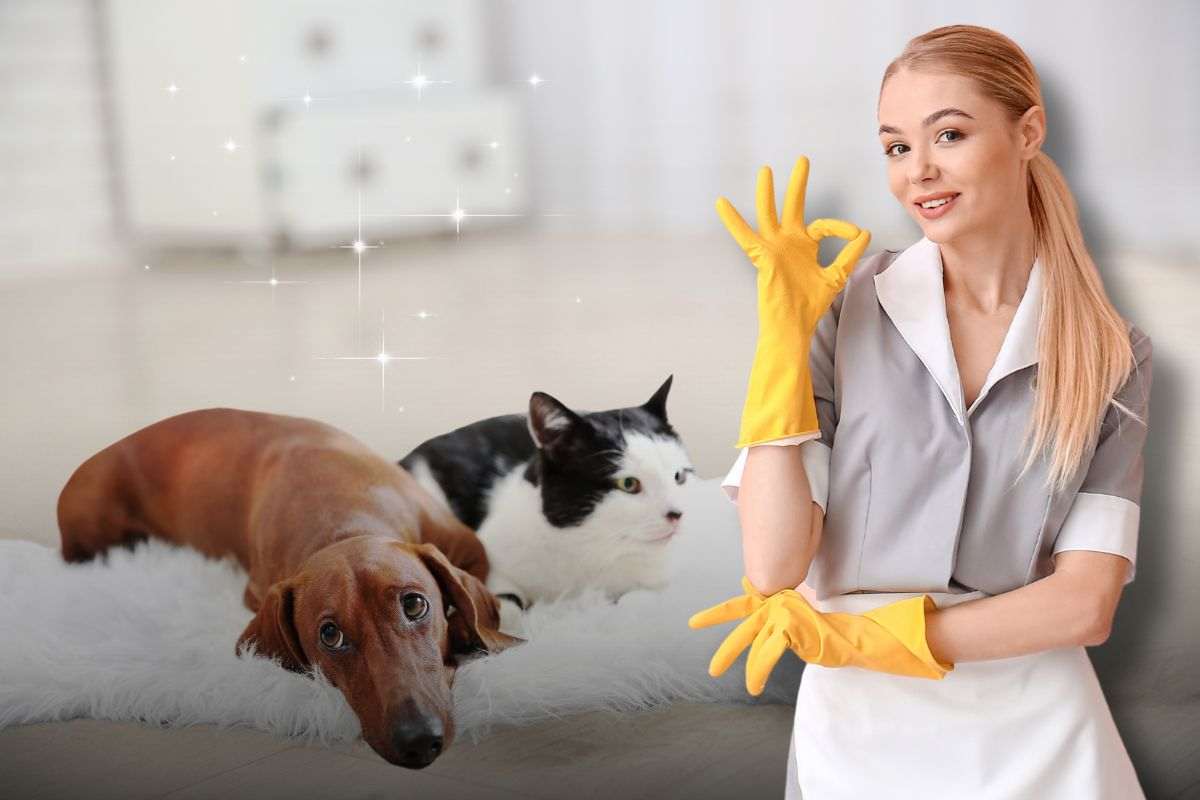 tenere pulita la casa con cani e gatti