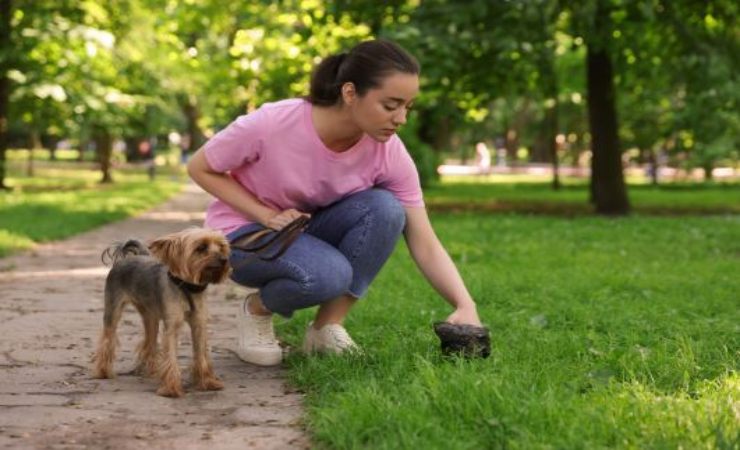 analisi del dna e multa per chi non raccoglie gli escrementi del cane