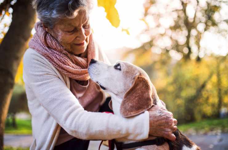 anziana lascia eredità animali domestici