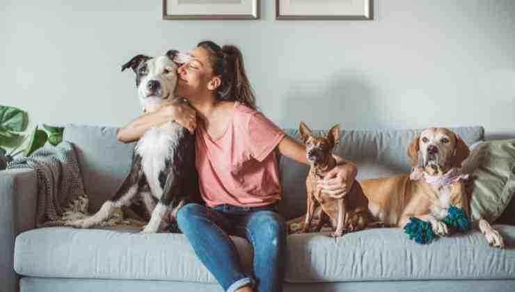 Come gli animali domestici ci migliorano la vita